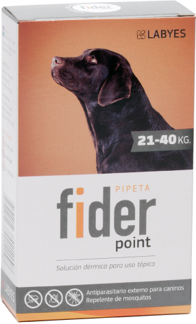 Fider 21 a 40kg